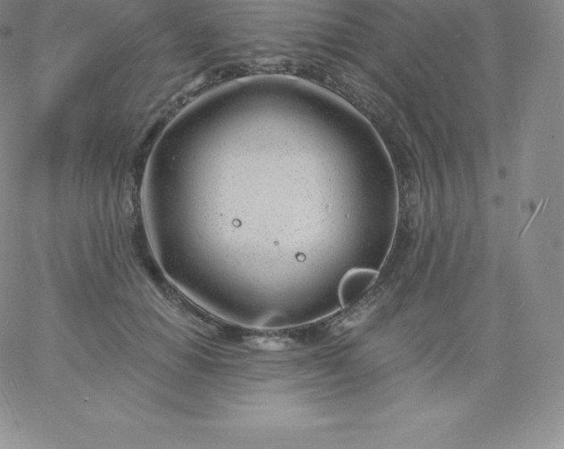 X0000060740654200511241639