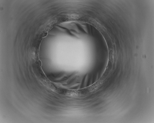 X0000060740655200511241639