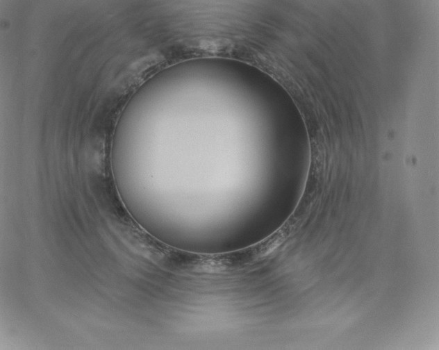 X0000060740656200511241639