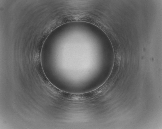 X0000060740657200511241639