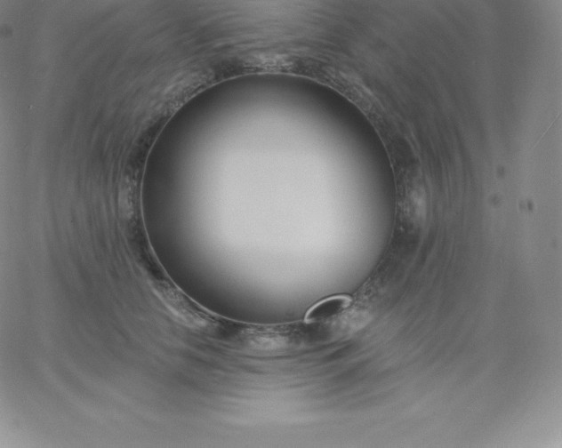 X0000060740658200511241639