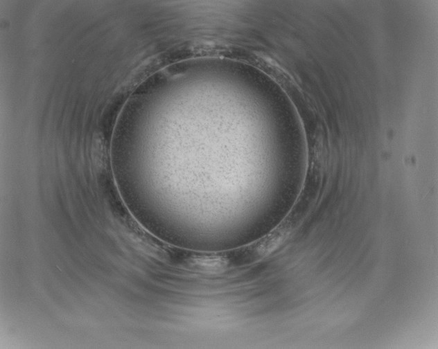 X0000060740659200511241639