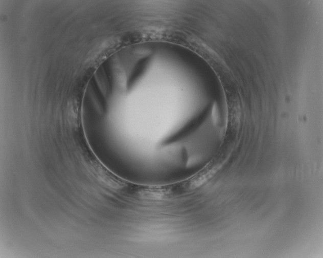 X0000060740661200511241639