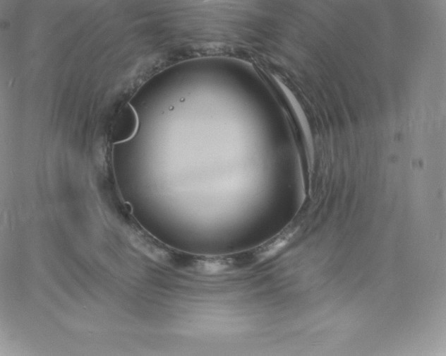 X0000060740662200511241639