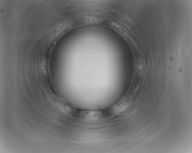 X0000060740663200511241639