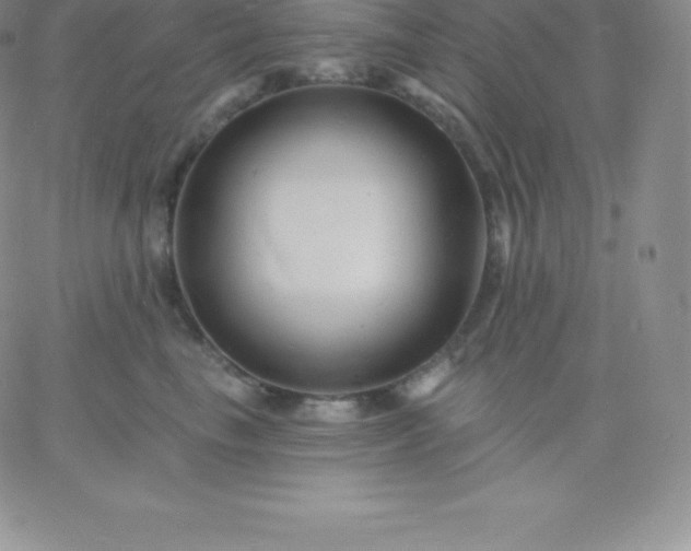 X0000060740665200511241639