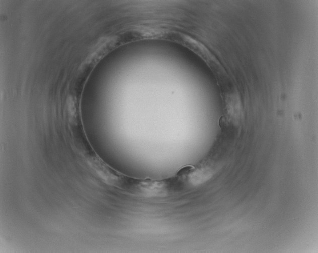 X0000060740667200511241639