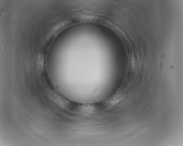 X0000060740668200511241639