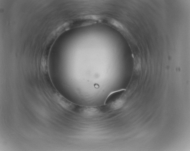 X0000060740669200511241639