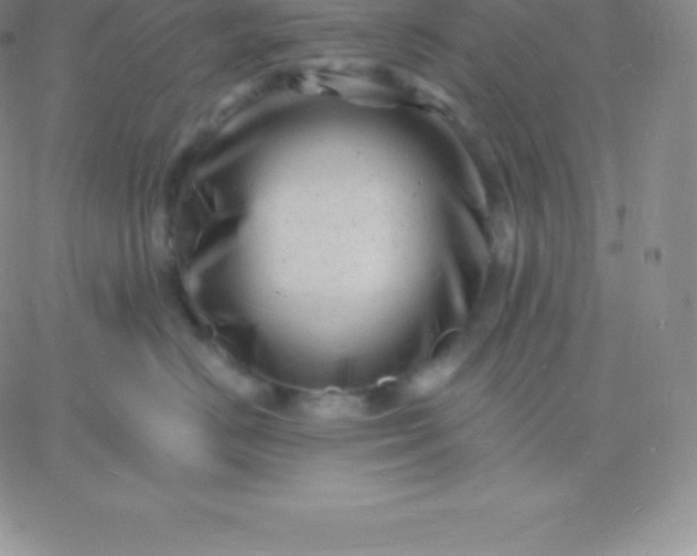 X0000060740670200511241639