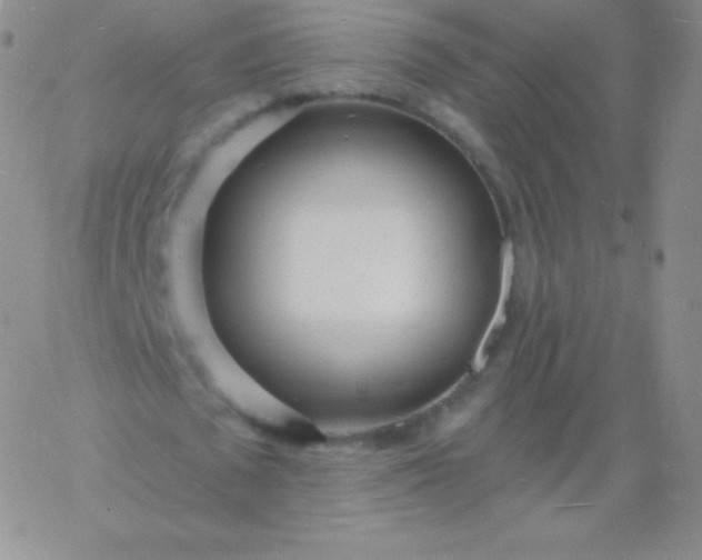 X0000060740673200511241639