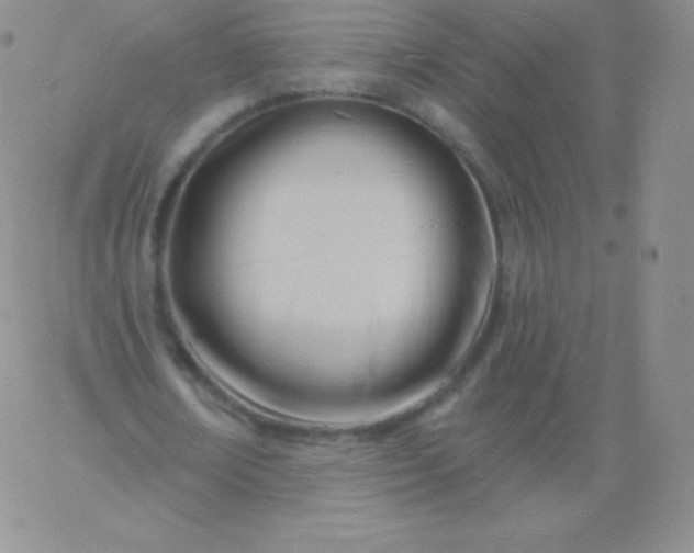 X0000060740674200511241639