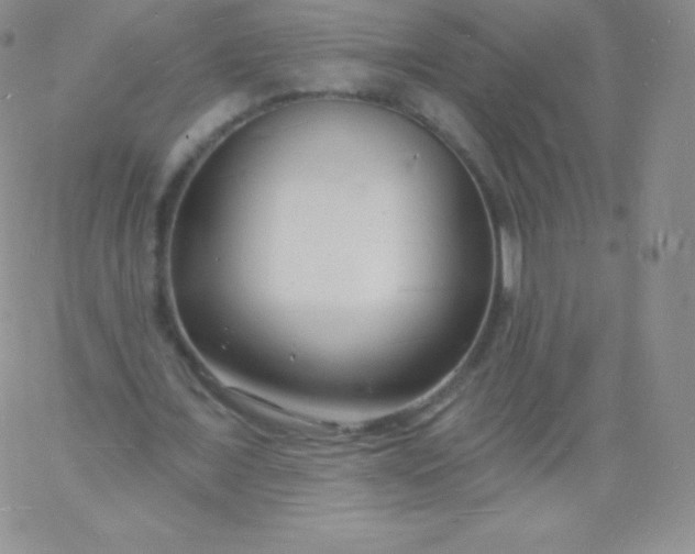 X0000060740675200511241639