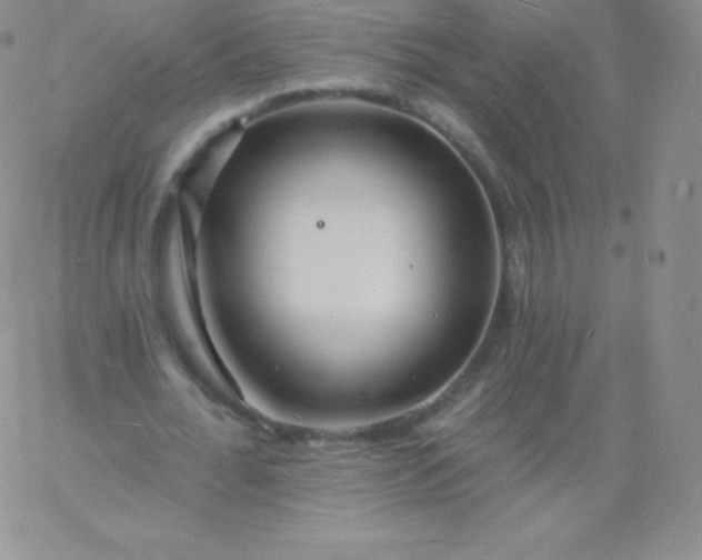 X0000060740676200511241639