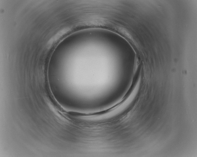 X0000060740677200511241639