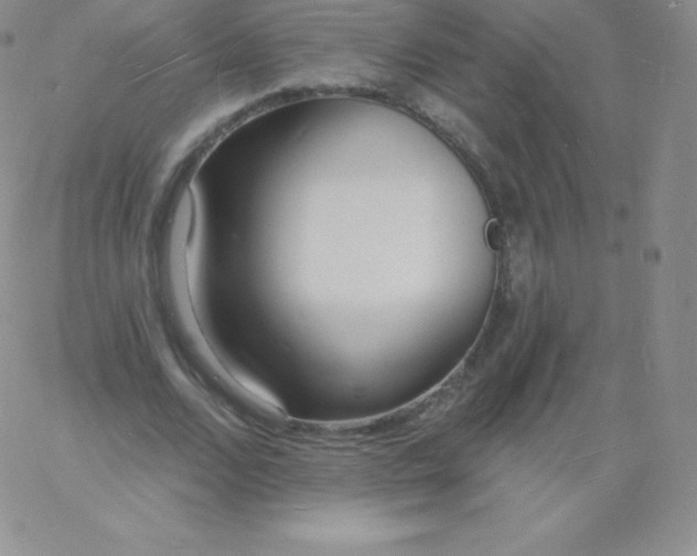 X0000060740680200511241638