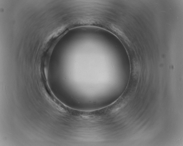 X0000060740681200511241638