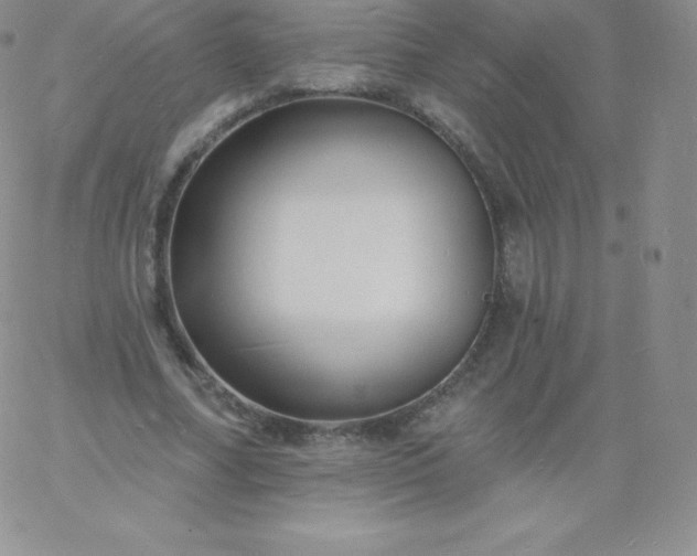 X0000060740682200511241638