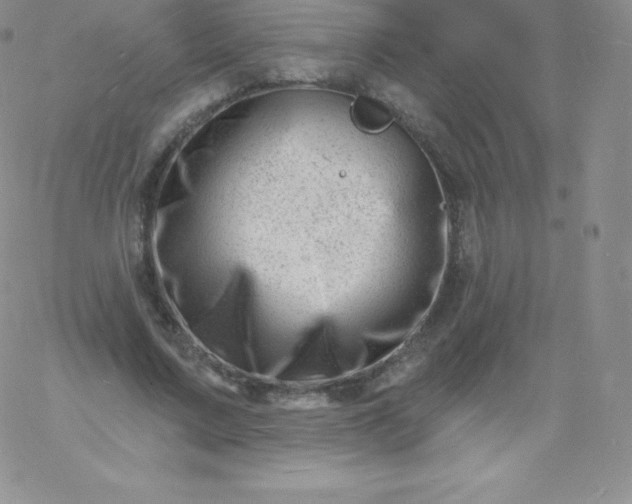 X0000060740683200511241638