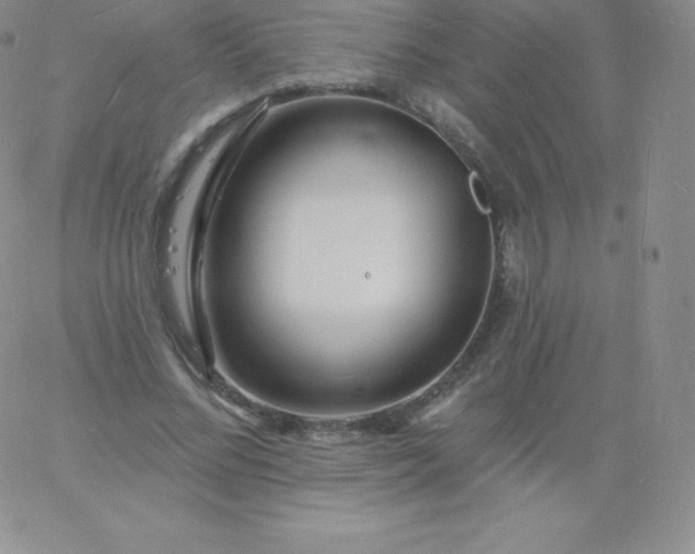 X0000060740684200511241638