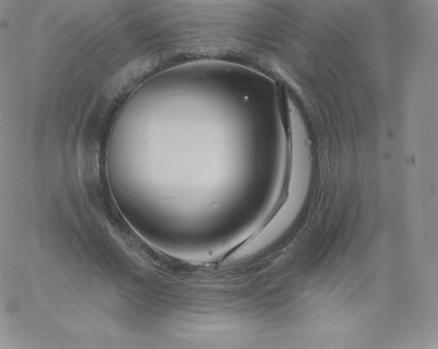 X0000060740685200511241638