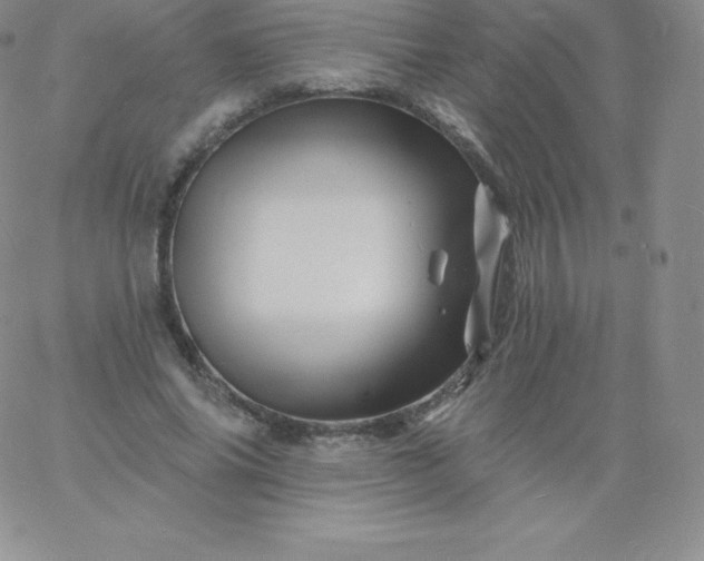 X0000060740686200511241638