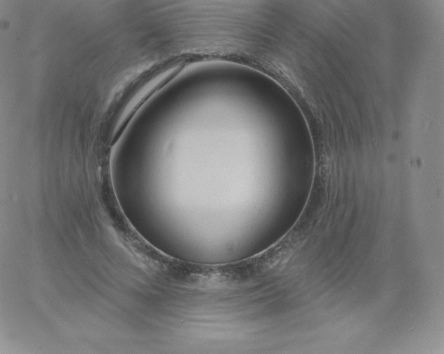 X0000060740688200511241638