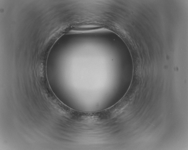 X0000060740689200511241638