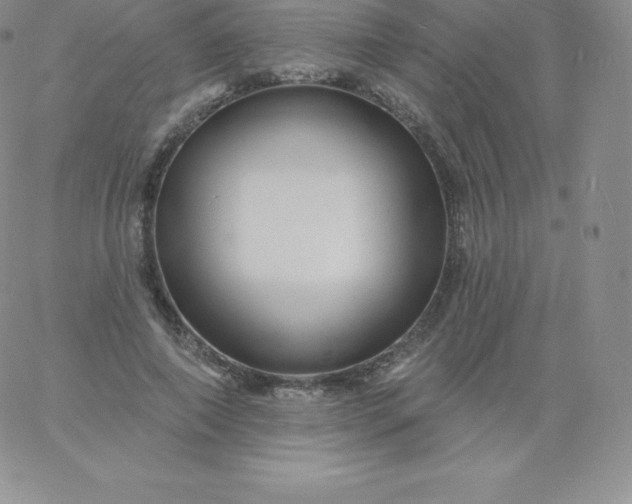 X0000060740690200511241638