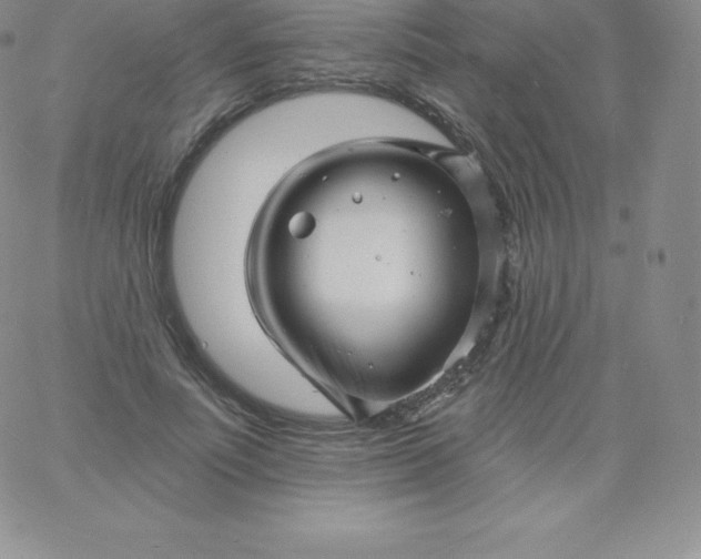 X0000060740691200511241638