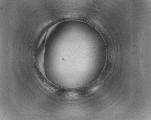 X0000060740692200511241638