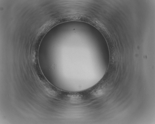 X0000060740693200511241638