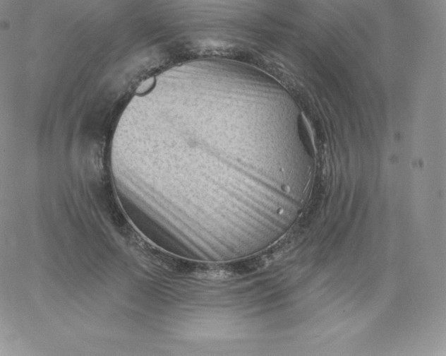 X0000060740695200511241638