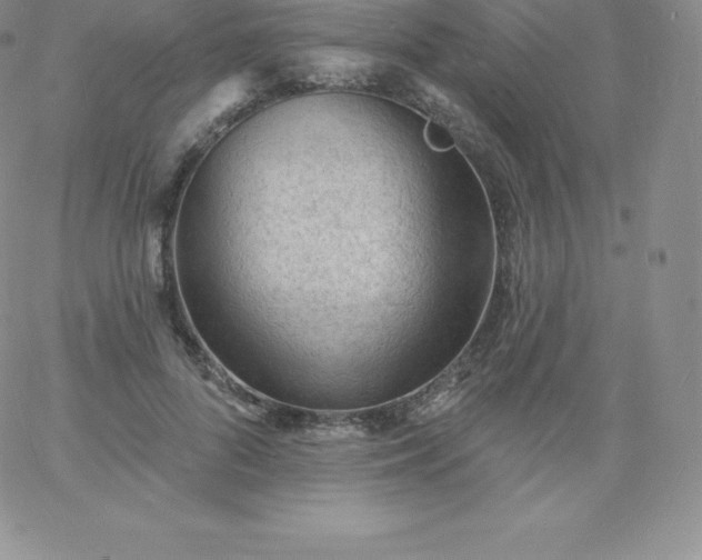 X0000060740696200511241638