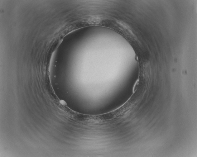 X0000060740697200511241638