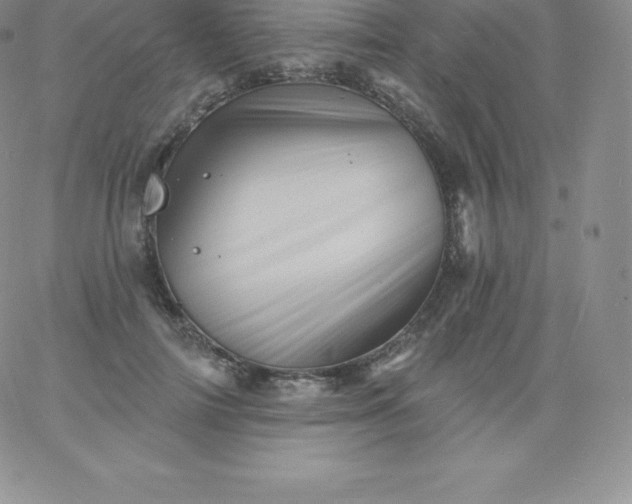 X0000060740698200511241638