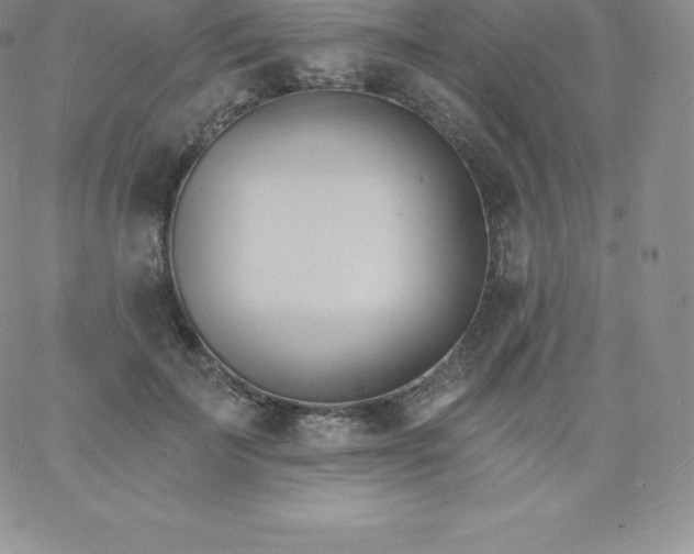 X0000060740699200511241638