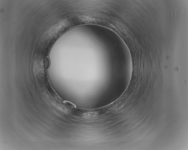 X0000060740700200511241638