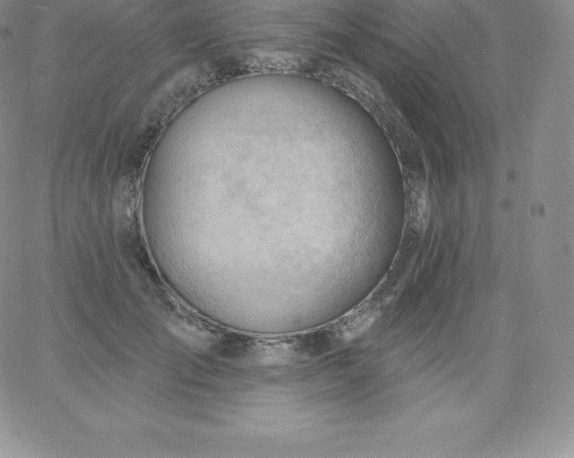 X0000060740701200511241638