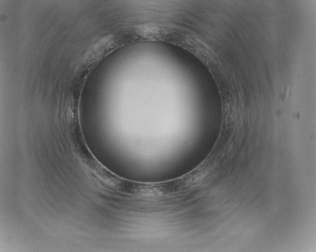 X0000060740702200511241638