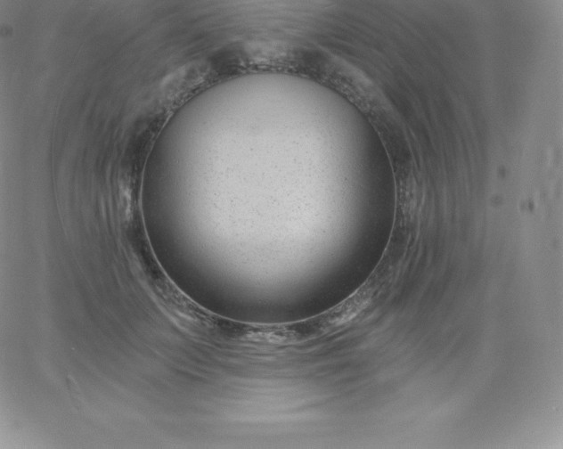 X0000060740703200511241638