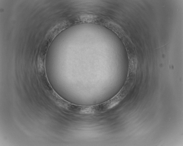 X0000060740705200511241638