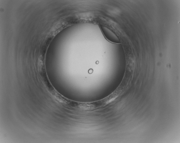 X0000060740707200511241638