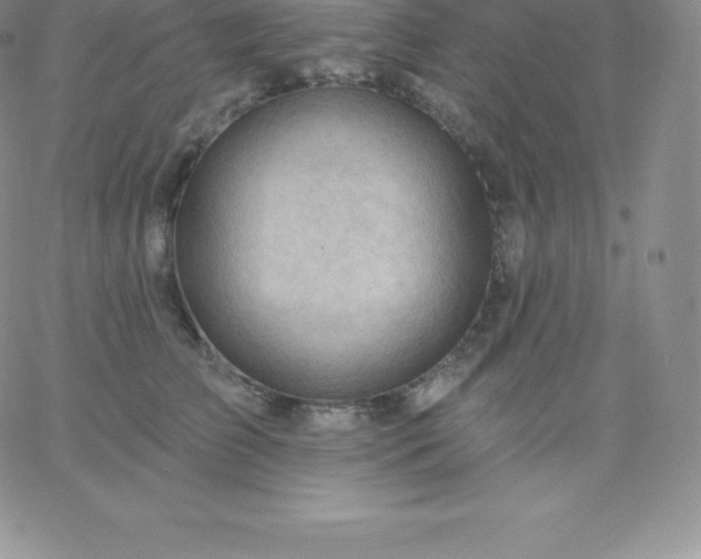 X0000060740709200511241638