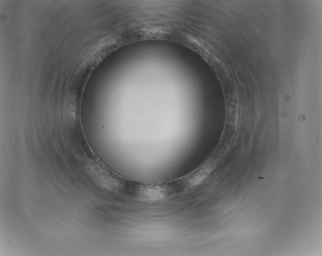 X0000060740710200511241638