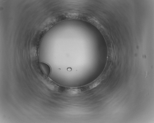 X0000060740711200511241638