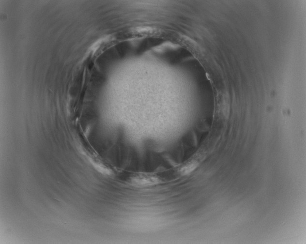 X0000060740712200511241638