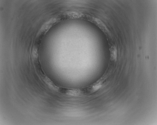 X0000060740713200511241638