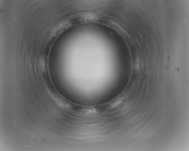 X0000060740715200511241638