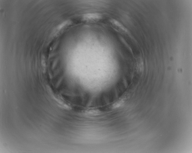 X0000060740716200511241638